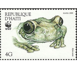 Hispaniola Treefrog (Hyla vasta) - Caribbean / Haiti 1999 - 4