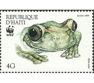 Hispaniola Treefrog (Hyla vasta) - Caribbean / Haiti 1999 - 4