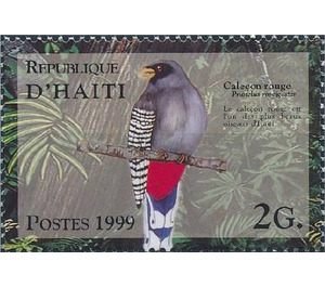 Hispaniolan Trogon (Priotelus roseigaster) - Caribbean / Haiti 1999 - 2