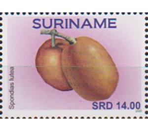 Hog Plum (Spondias lutea) - South America / Suriname 2020 - 14