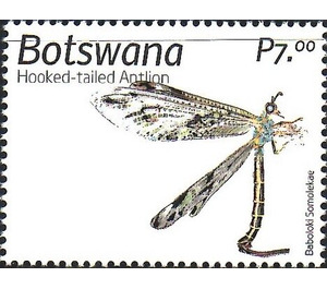 Hooked-Tailed Antlion - South Africa / Botswana 2019 - 7