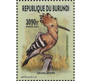 Hoopoe (Upupa epops) - East Africa / Burundi 2016