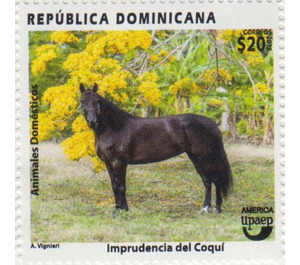 Horse - Caribbean / Dominican Republic 2020