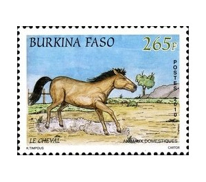 Horse (Equus ferus caballus) - West Africa / Burkina Faso 2011 - 265