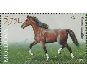 Horse - Moldova 2019 - 5.75