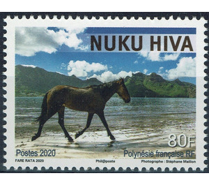 Horse on Beach, Nuku Hiva Island - Polynesia / French Polynesia 2020 - 80