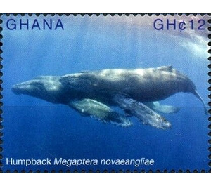 Humpback (Megaptera novaeangliae) - West Africa / Ghana 2017 - 12