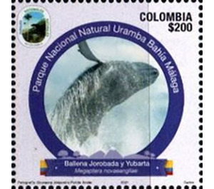 Humpback Whale (Megaptera novaeangliae) - South America / Colombia 2021