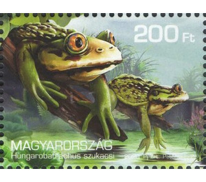 Hungarobatrachus szukacsi - Hungary 2020 - 200
