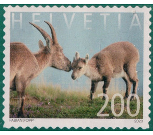 Ibex - Switzerland 2020 - 200