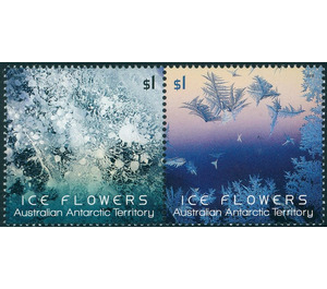 Ice Flowers - Australian Antarctic Territory 2016