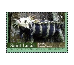 Iguana - Caribbean / Saint Lucia 2010 - 75