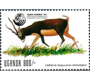 Impala ( Aepyceros melampus) - East Africa / Uganda 1992 - 800