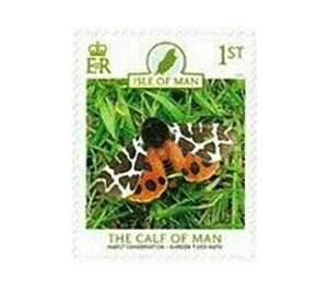 Insect Conservation : Garden Tiger Moth - Great Britain / British Territories / Isle of Man 2021