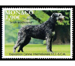 International Dog Show, Monaco : Irish Wolfhound - Monaco 2020 - 1.90