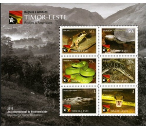 International Year of Biodiversity - Reptiles and Amphibians - East Timor 2010
