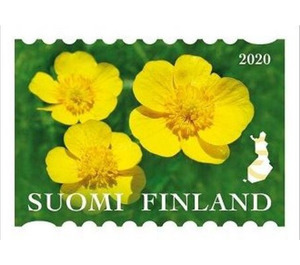 International Year of Plant Health : Flowers - Finland 2020