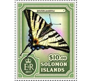 Iphiclides podalirius - Melanesia / Solomon Islands 2017 - 10