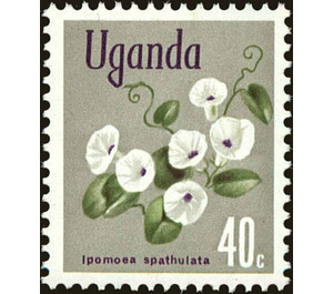 Ipomoea spathulata - East Africa / Uganda 1972 - 40