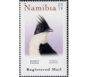 Jackobin Cuckoo - South Africa / Namibia 2019