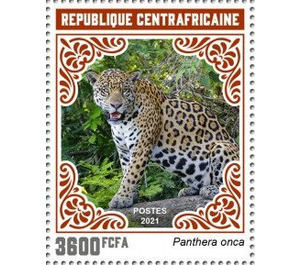Jaguar (Panthera onca) - Central Africa / Central African Republic 2021