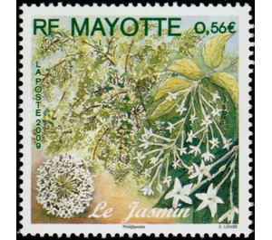 Jasmine - East Africa / Mayotte 2009 - 0.56