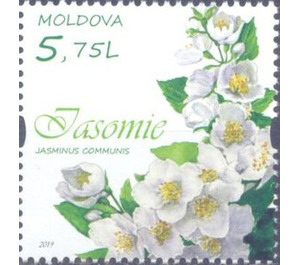 Jasmine - Moldova 2019 - 5.75