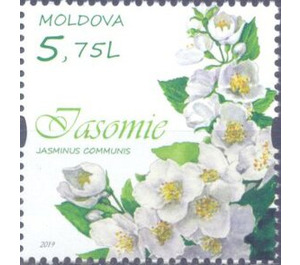 Jasmine - Moldova 2019 - 5.75