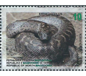 Javelin Sand Boa (Eryx jaculus) - Macedonia / North Macedonia 2020 - 10