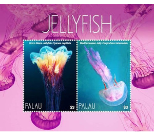 Jellyfish - Micronesia / Palau 2018