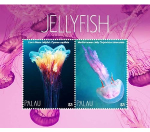 Jellyfish - Micronesia / Palau 2018