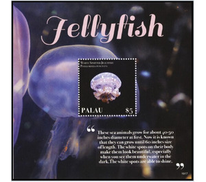 Jellyfish - Micronesia / Palau 2019