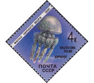 Jellyfish (Rhizostoma pulmo) - Russia / Soviet Union 1991 - 4