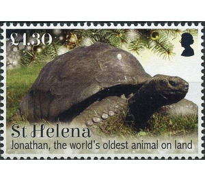 Jonathan The Oldest Living Tortoise - West Africa / Saint Helena 2019 - 1.30