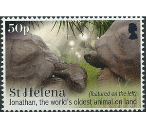 Jonathan The Oldest Living Tortoise - West Africa / Saint Helena 2019 - 50