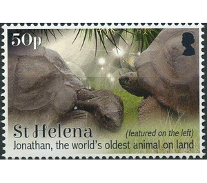 Jonathan The Oldest Living Tortoise - West Africa / Saint Helena 2019 - 50