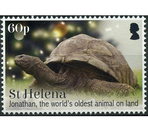 Jonathan The Oldest Living Tortoise - West Africa / Saint Helena 2019 - 60