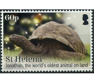 Jonathan The Oldest Living Tortoise - West Africa / Saint Helena 2019 - 60