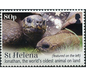 Jonathan The Oldest Living Tortoise - West Africa / Saint Helena 2019 - 80