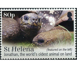 Jonathan The Oldest Living Tortoise - West Africa / Saint Helena 2019 - 80