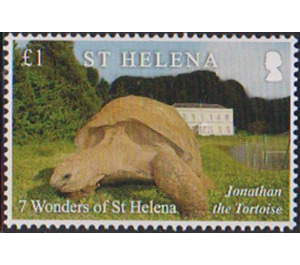 Jonathan The Tortoise - West Africa / Saint Helena 2020 - 1