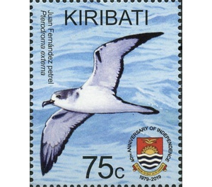 Juan Fernandez Petrel (Pterodroma externa) - Micronesia / Kiribati 2019 - 75