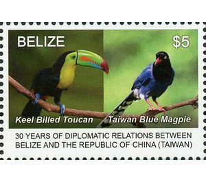 Keel-Billed Toucan and Blue Magpie - Central America / Belize 2019 - 5
