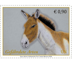 Kiang (Equus kiang) - UNO Vienna 2020 - 0.90