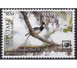 King of Saxony Bird of Paradise (Pteridophora alberti) - Aitutaki 2020 - 6