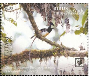 King of Saxony Bird of Paradise (Pteridophora alberti) - Aitutaki 2020 - 6