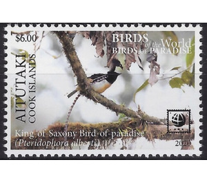 King of Saxony Bird of Paradise (Pteridophora alberti) - Aitutaki 2020 - 6