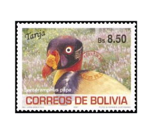 King Vulture (Sarcoramphus papa) - South America / Bolivia 2019 - 8.50