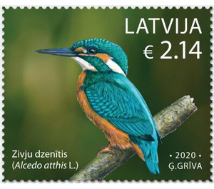 Kingfisher (Alcedo atthis) - Latvia 2019 - 2.14