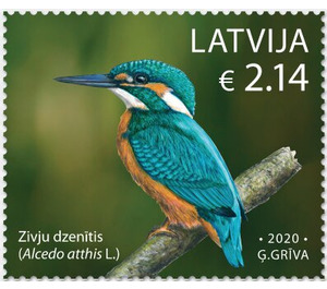 Kingfisher (Alcedo atthis) - Latvia 2019 - 2.14